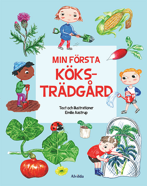 Min första köksträdgård