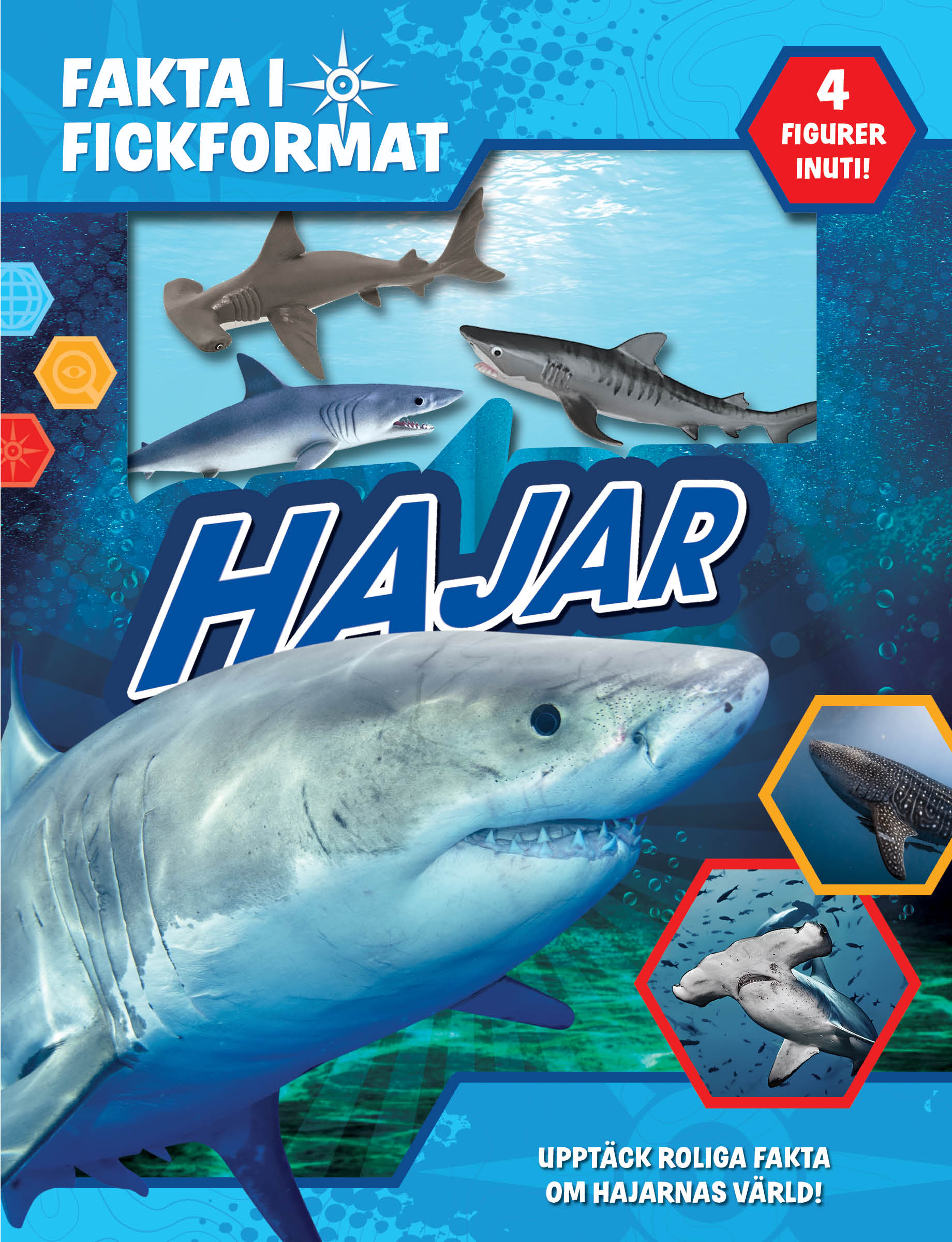 Fakta i fickformat - Hajar